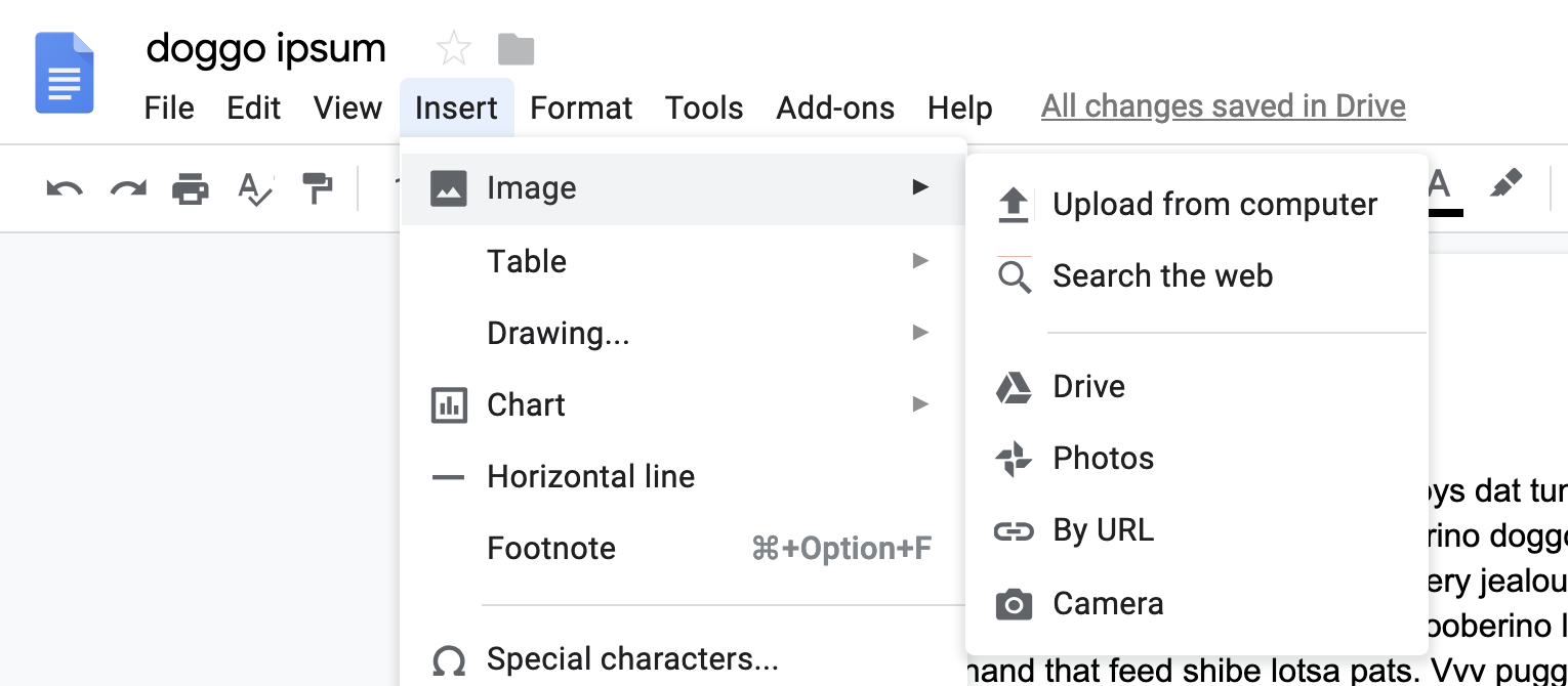 Google Docs image options