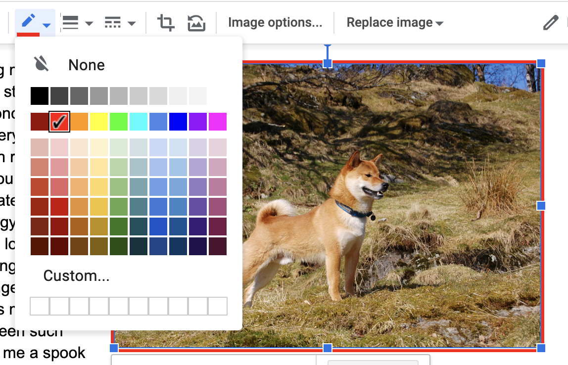 How To Work With Images in Google Docs