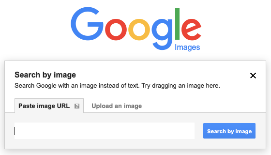 Google reverse image search