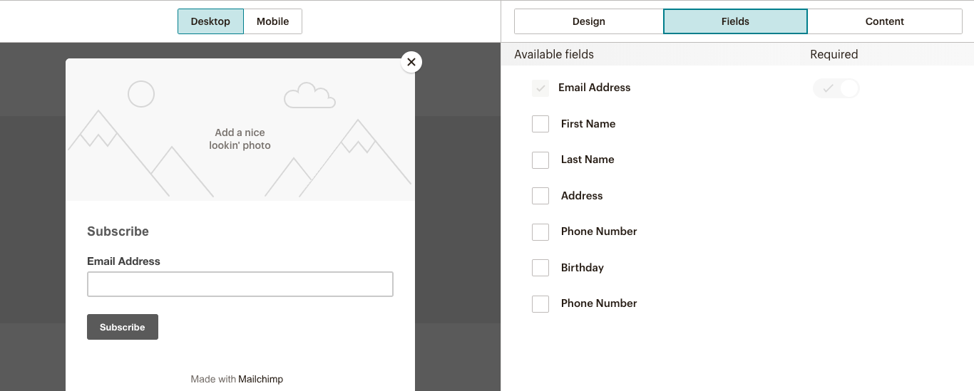 Building a form in Mailchimp.